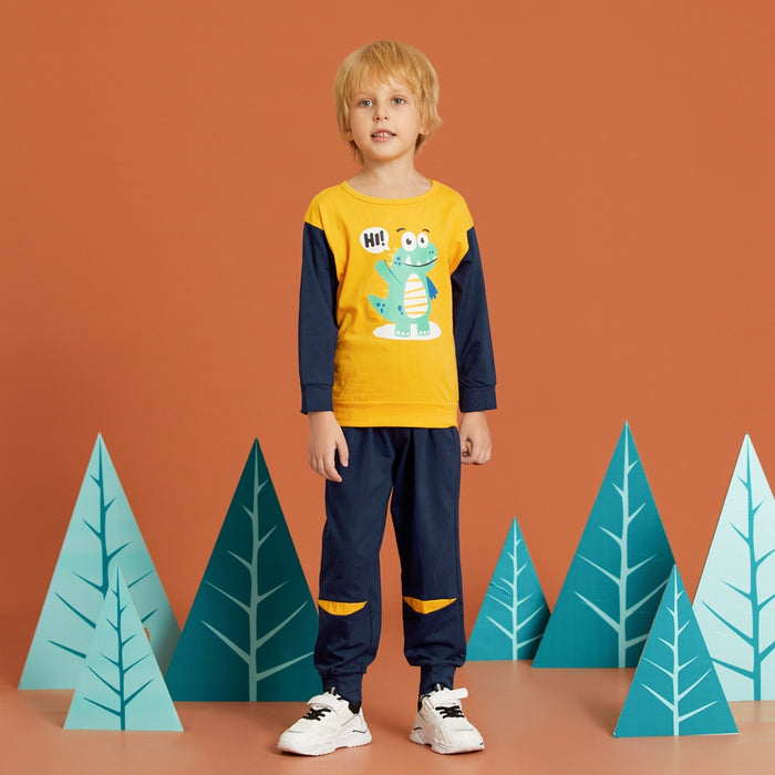 PatPat 2-piece Baby / Toddler Boy Animal Dinosaur Pattern Pullover and Colorblock Pants Set
